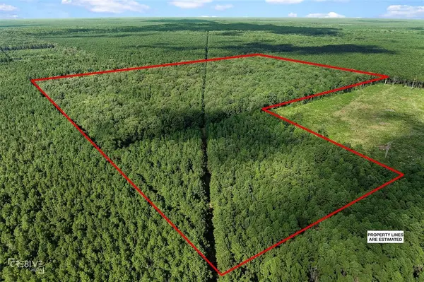 356 Cottage Grove Road, Benton, LA 71006