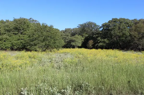 Lot 2 TBD County Road 2798, Alvord, TX 76225