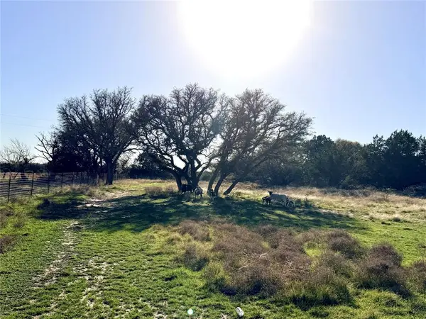 65 County Road 406, Goldthwaite, TX 76844