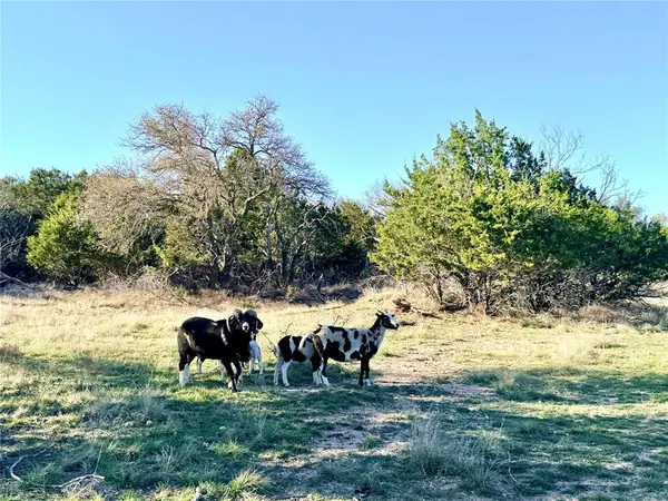 65 County Road 406, Goldthwaite, TX 76844