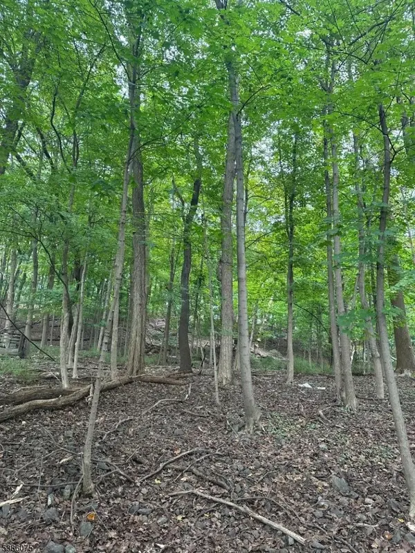 86 Chestnut St, Morristown Town, NJ 07960