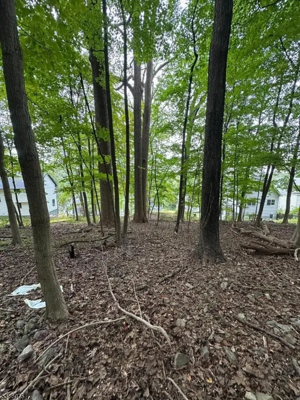 86 Chestnut St, Morristown Town, NJ 07960