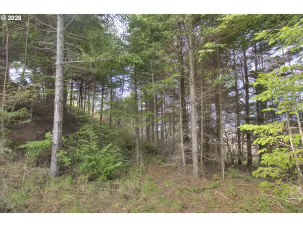 Seaview LN, Gold Beach, OR 97444