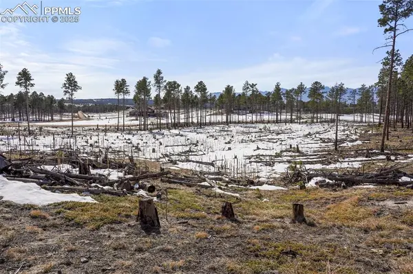 Snow mass DR, Colorado Springs, CO 80908