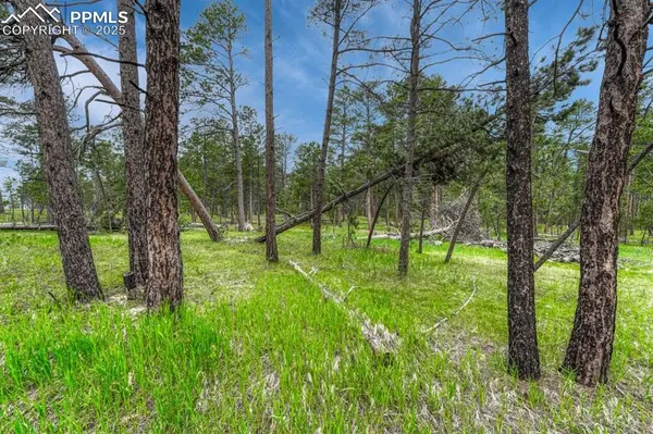 01 Wyandott DR, Colorado Springs, CO 80908