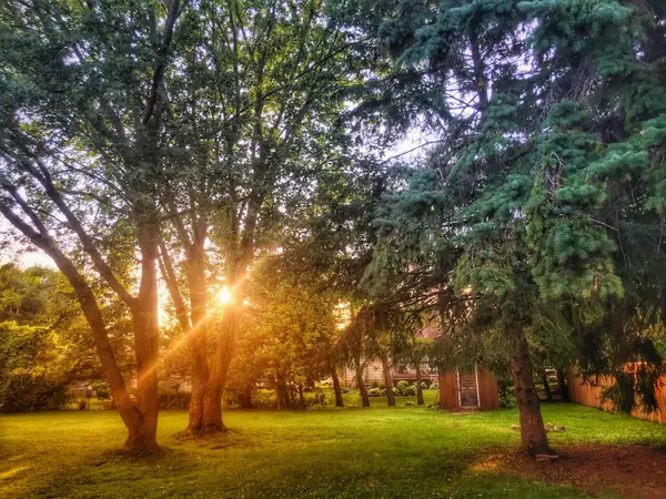 124 Bruce ST S, Blue Mountains, ON N0H 2P0