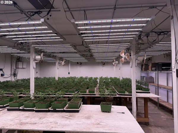 Address not disclosed, Eugene, OR 97402