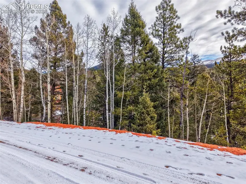 1181 Calcite DR, Divide, CO 80814