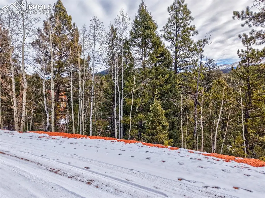 1181 Calcite DR, Divide, CO 80814