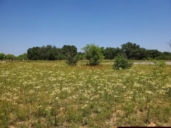 19069 Highway 6, Gorman, TX 76454