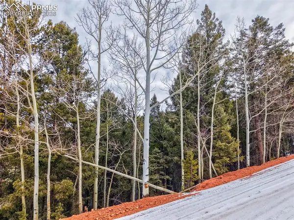 165 Witherite DR, Divide, CO 80814