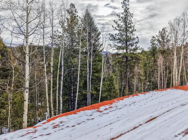 1181 Calcite DR, Divide, CO 80814