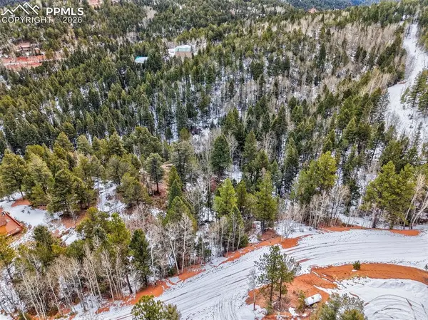 1181 Calcite DR, Divide, CO 80814