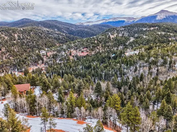 1181 Calcite DR, Divide, CO 80814