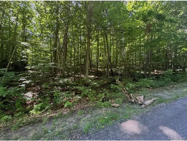 Lot 185 Forestgrove Court ForestGrove RD, Mancelona Township, MI 49730