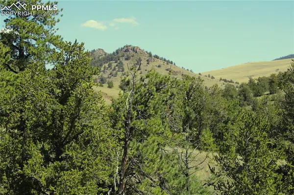 State HWY, Guffey, CO 80820