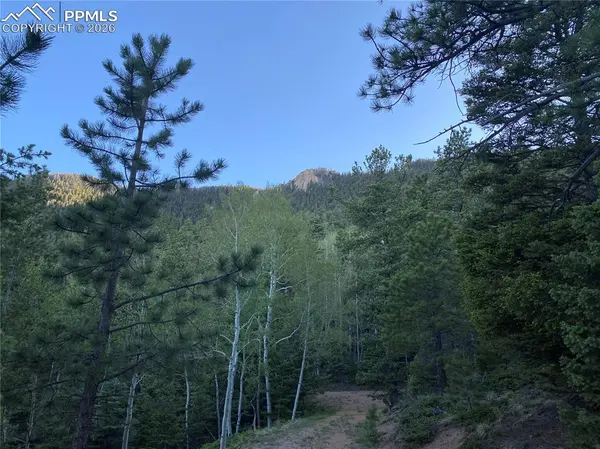 285 Forest RD, Manitou Springs, CO 80829