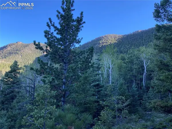 285 Forest RD, Manitou Springs, CO 80829