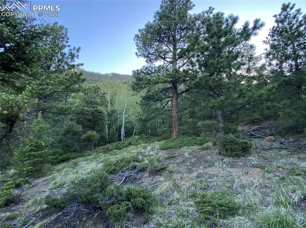 285 Forest RD, Manitou Springs, CO 80829