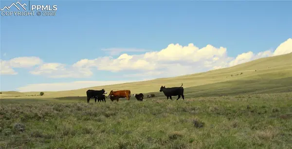 State HWY, Guffey, CO 80820