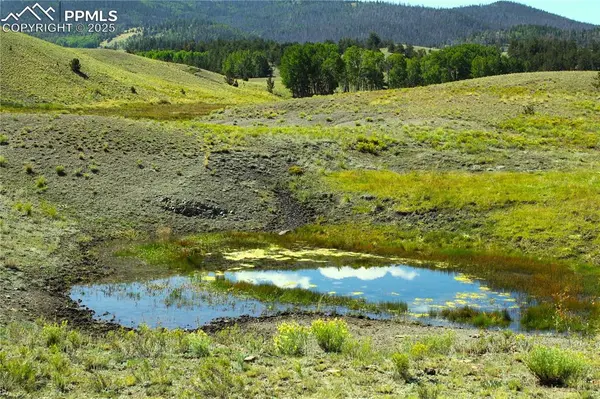 Highway 9, Guffey, CO 80820