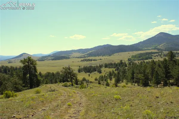 Highway 9, Guffey, CO 80820