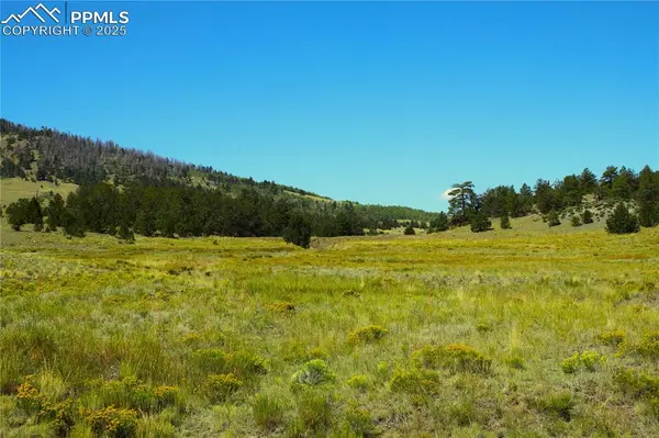 Highway 9, Guffey, CO 80820