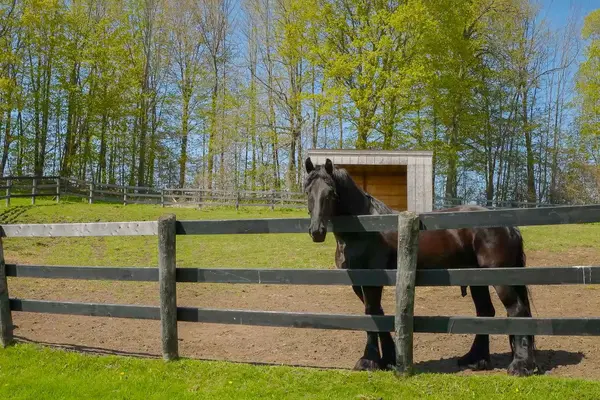 436 Eddystone RD, Alnwick/haldimand, ON K0K 2G0