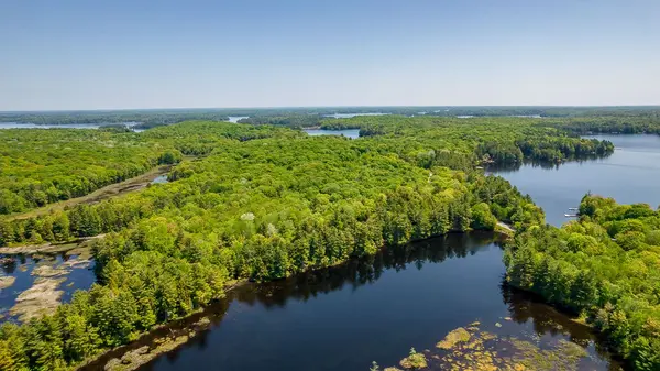 29 BEAR LAKE RD, Georgian Bay, ON P0C 1H0