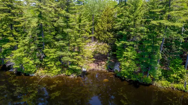 29 BEAR LAKE RD, Georgian Bay, ON P0C 1H0