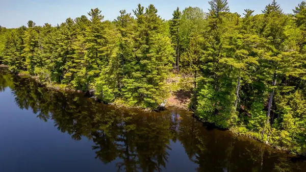 29 BEAR LAKE RD, Georgian Bay, ON P0C 1H0