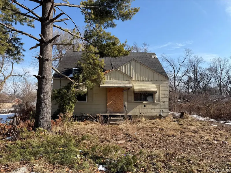 17206 Salem ST, Detroitcity_wayne, MI 48219