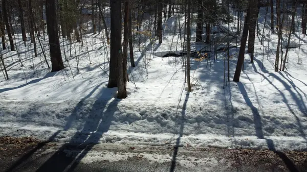 46 Ridgeway DR, Carling, ON P0G 1G0