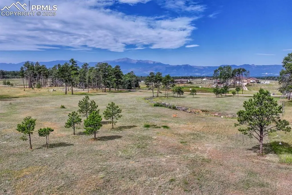 LOT 4 Forest Heights CIR, Colorado Springs, CO 80908
