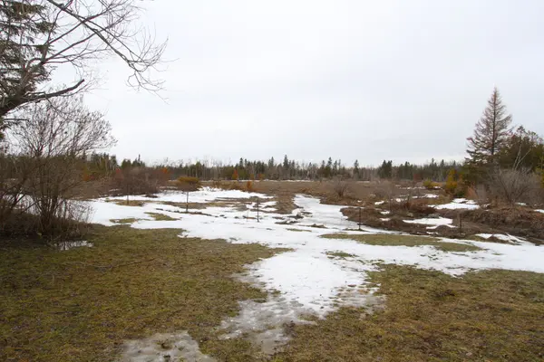 264 Mcguire Beach RD, Kawartha Lakes, ON K0M 2B0