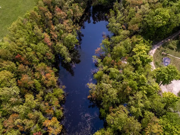 215319 Concession 4 N/A, Chatsworth, ON N0H 2V0