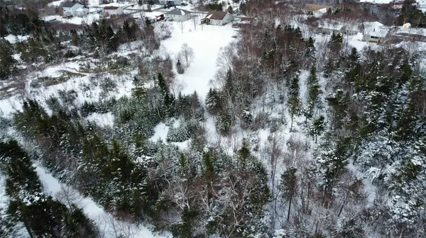 16 Calvin Manor Road, Conception Bay South, NL A1X 6M6