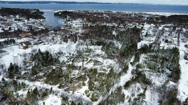 16 Calvin Manor Road, Conception Bay South, NL A1X 6M6