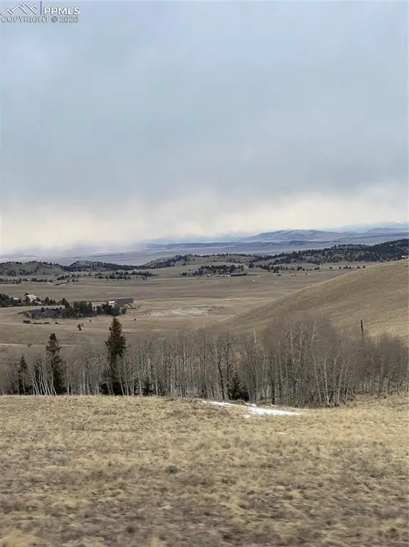 9086 Ranch RD, Hartsel, CO 80449