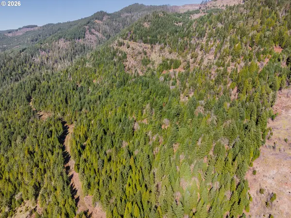 14536 LITTLE RIVER RD, Glide, OR 97443