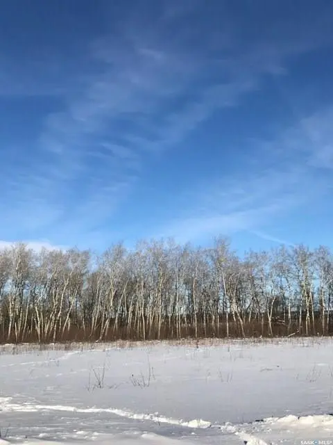 230 7th AVENUE NE, Preeceville, SK S0A 3B0