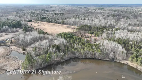 VL Lang RD, Beaverton Twp, MI 48612