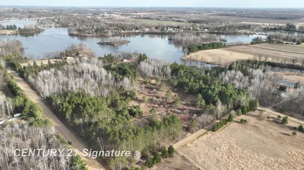 VL Lang RD, Beaverton Twp, MI 48612