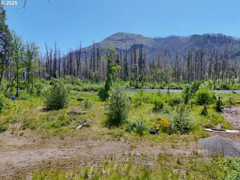 52958 MCKENZIE HWY, Blue River, OR 97413