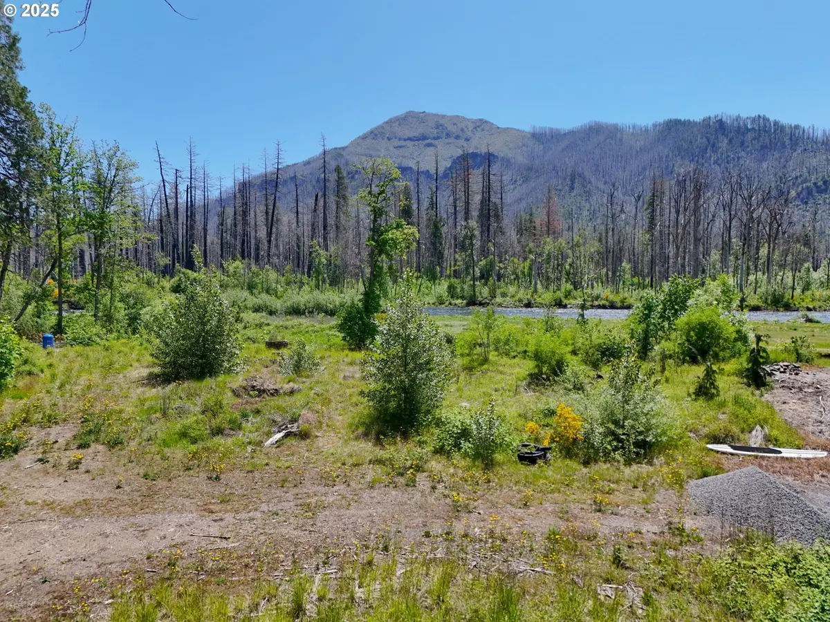 52958 MCKENZIE HWY, Blue River, OR 97413