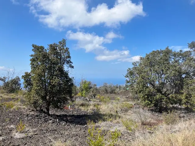 92-1974 LUAU DR, Ocean View, HI 96737