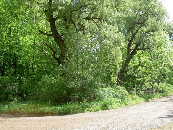 0000 Bridge, Waterford Charter Township, MI 48329