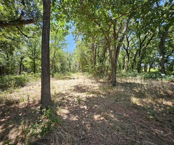 2209 County Road 1480, Chico, TX 76431