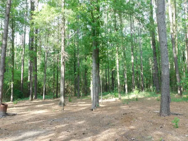 165 Rosewood Road, Springhill, LA 71075