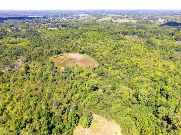 9343 FIVE MILE RD, Salem Twp, MI 48178